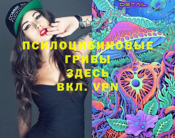 дурь Козловка